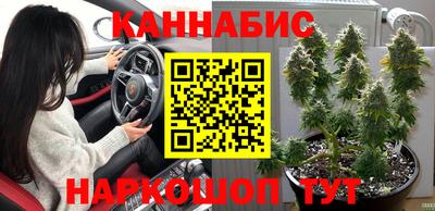 мет Дубна