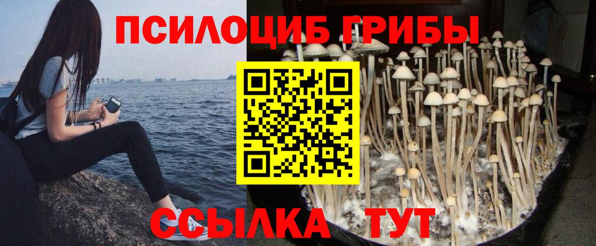 Псилоцибиновые грибы мицелий Миасс