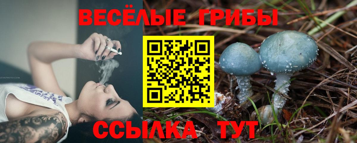 Миасс  Псилоцибиновые грибы мицелий  Вход с VPN 